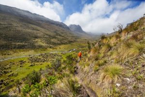 Breathtaking Trails in the Colombian Andes