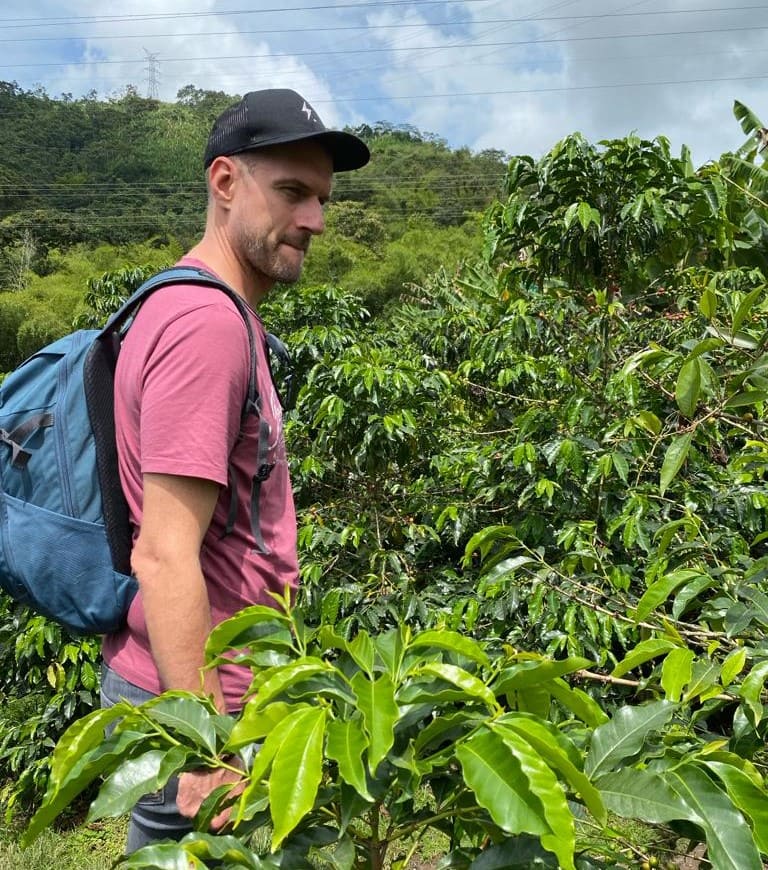 dorian in coffee fields