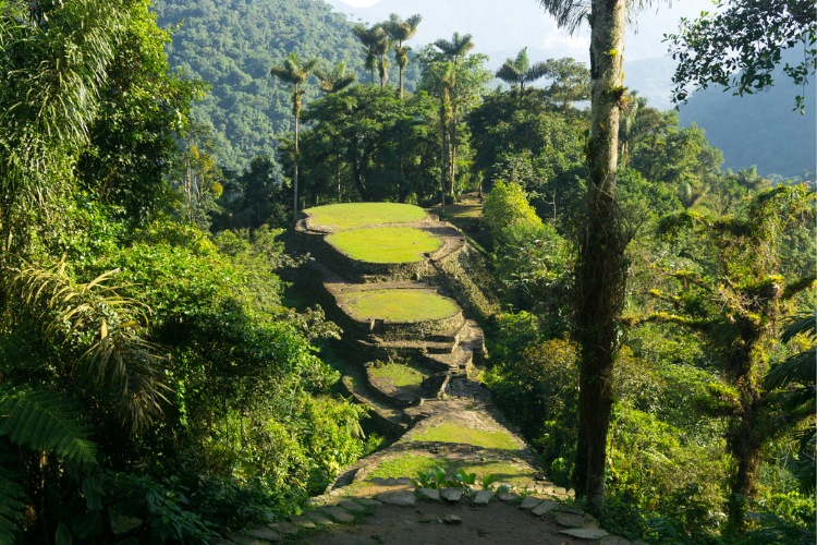 Lost City Trek (Colombia): Yes, I Recommend It